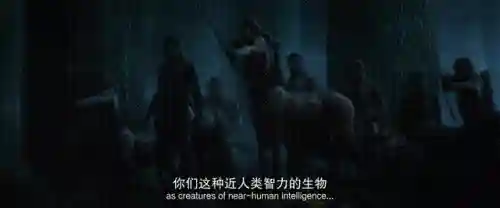 钻心剜骨阵容搭配图表大全(噬魂尸煞酷刑阵容搭配)插图11