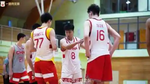 男篮拉练阵容搭配图片高清(中职篮全力以赴阵容推荐)插图4