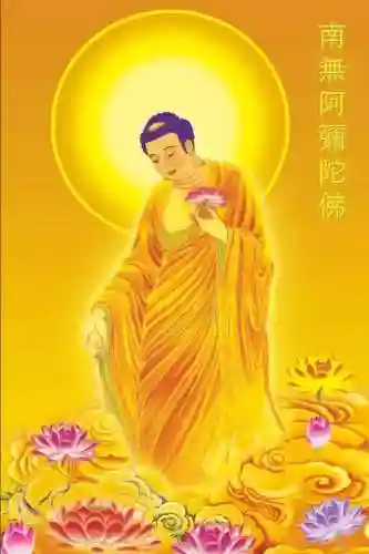 命运之隙阵容搭配推荐最新(命运战歌后期最强阵容)插图1