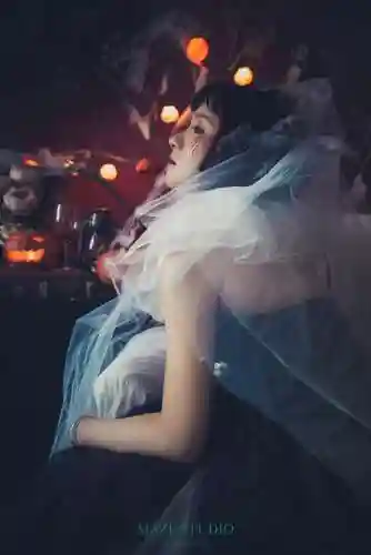 丧尸新娘阵容搭配图片高清(行尸崛起之丧尸新娘评价)插图4