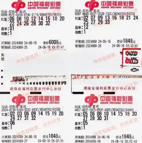 闪烁之光光搭阵容搭配(闪烁之光适合平民的四大最强阵容)插图8