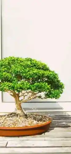 壁纸2023最新壁纸(屏幕图片壁纸)插图5