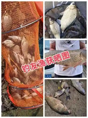 三体打窝最强阵容搭配(三体最强战舰排名)插图4