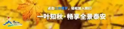 太阳部落鬼屋推荐阵容搭配(部落冲突阵型布置)
