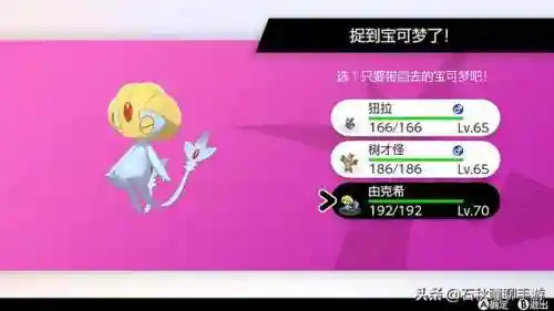 剑盾雪原最强阵容搭配(宝可梦剑盾最佳阵容)插图19