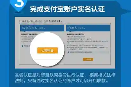 企业支付宝登录入口(支付宝怎么切换企业版)插图1
