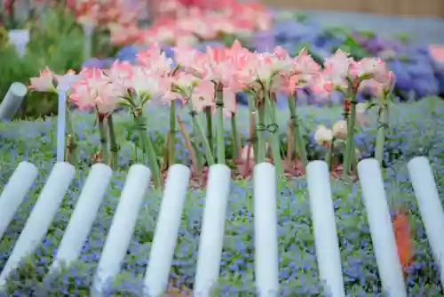 原生花4最强阵容搭配(迪奥娜阵容搭配平民)插图16