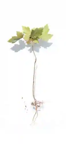 壁纸2023最新壁纸(屏幕图片壁纸)插图26