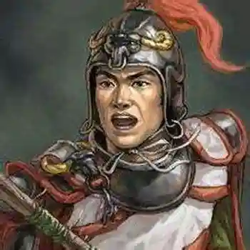 姜维伐魏阵容推荐搭配(姜维是魏国哪个郡的太守)插图1
