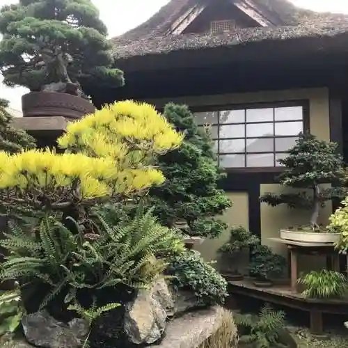 梦幻庭园搭配阵容图片大全(花境植物搭配效果图)插图25