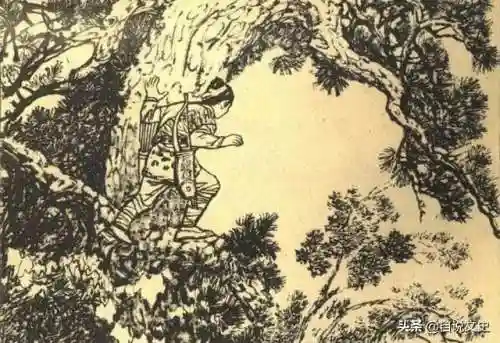 骑马妖猴阵容搭配图片高清(鬼王麒麟阵容搭配最高输出)插图3
