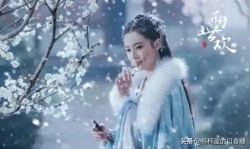 宫廷斗篷搭配阵容推荐女(宫廷计后期尚药最强阵容)插图23
