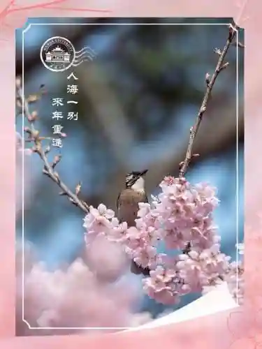 樱花校园大更新2023(樱花校园最新版中文)插图1 樱花校园大更新2023(樱花校园最新版中文)插图1