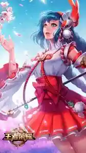 王者中路阵容怎么搭配好(王者荣耀组合阵容)插图6