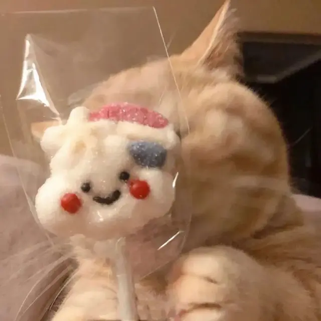 猫咪吃鸡阵容搭配图片(吃鸡抽猫咪套装皮肤)插图10
