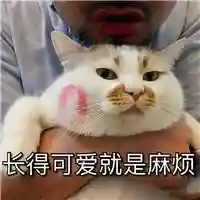 咸鱼之王约战阵容搭配推荐(约战精灵再临最强阵容)插图3