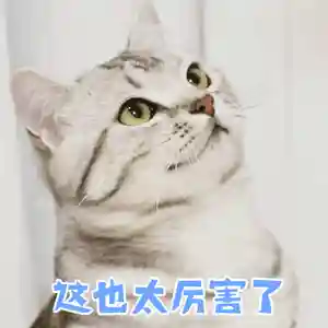灌篮4最强阵容搭配图片(全民大灌篮最强角色)插图4