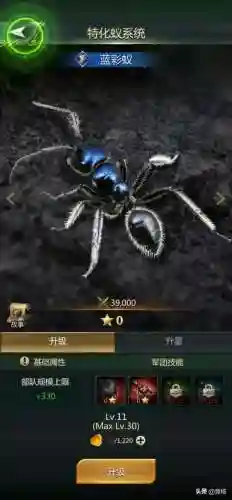 蚁国崛起阵容搭配推荐(蚁族崛起后期最强阵容)插图7