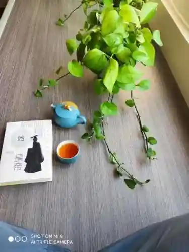 秦始皇简介(秦始皇兵马俑详细介绍)