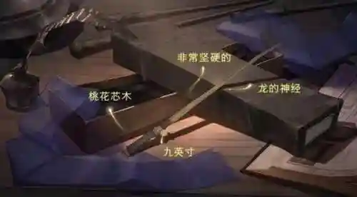 女巫师魔杖推荐阵容搭配(元素师带魔杖还是法杖)
