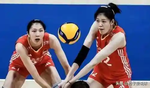 七仙女阵容搭配推荐(七仙女组合成员)