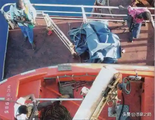 海盗危机阵容搭配推荐图(王牌探险家阵容推荐)插图10