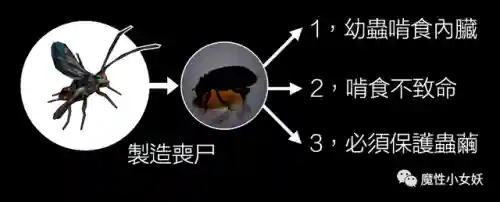 僵尸傀儡怎么做(我的世界怎么召唤僵尸傀儡)插图7