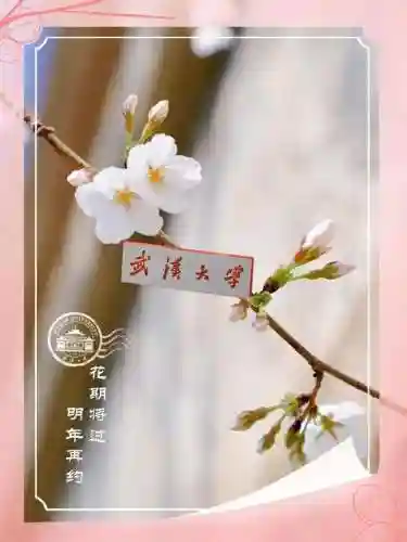 樱花校园大更新2023(樱花校园最新版中文)