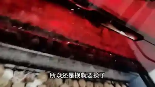 驯龙骑士阵容搭配图解高清(小小驯龙师的无敌阵容)插图1