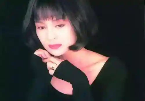 怀旧歌曲大全100首(怀旧老歌)插图45