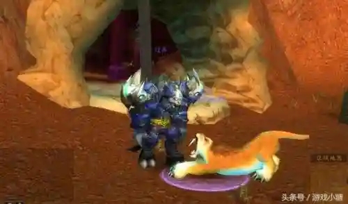 魔兽世界猎人灵魂兽宝宝大全(wow灵魂兽大全13只)插图6