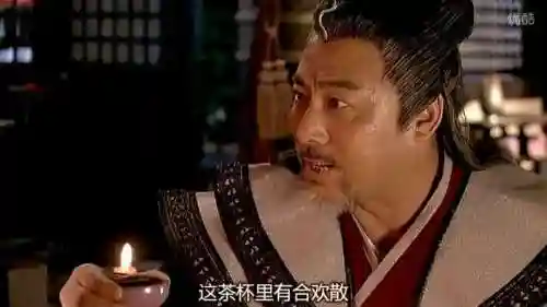 天涯明月刀南宫翎怀孕(南宫翎怀的燕南飞的孩子吗)插图8