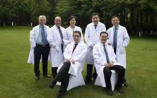 八仙阵容搭配2021(食物语pvp最强阵容搭配)