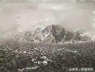 山海经十大神器(山海经异兽录)