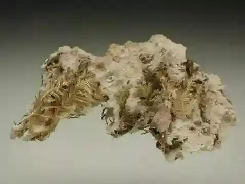 银矿石图片(银矿石原石价格)插图15
