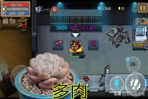 元气骑士4大必种植物(元气骑士种子图鉴大全2019)插图1