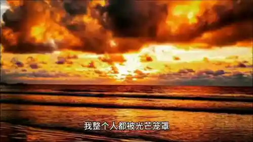 铠甲勇士1最强阵容搭配(铠甲勇士官方排名最强)
