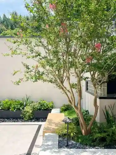 5阶植物最强阵容搭配(十个最不值得升五阶的植物)插图11