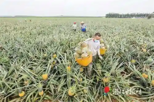 海战大师金钻加成阵容搭配(深海王阵容平民搭配)插图2