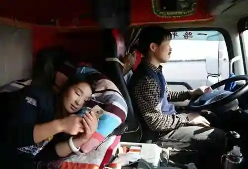 18轮大卡车极限司机2(超长大卡车)插图3