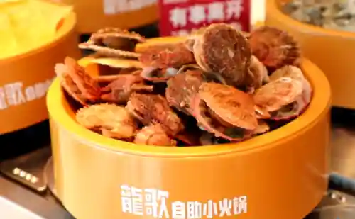 龙歌黑暗之眼妇女密码(龙歌黑暗之眼帮圣光好还是帮女巫)插图1