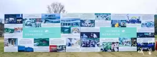 深圳公园文化季阵容(深圳的公园人气排行榜)插图1