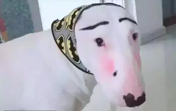 魔镜物语光年兽阵容(魔镜物语大后期阵容推荐)插图4