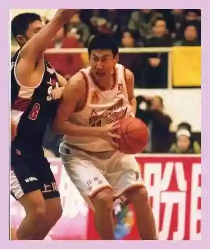 北京阵容十大高手排名(北京的社会大哥都有哪些)插图6
