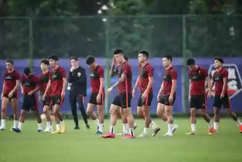 泰达预测阵容(三国志战略版2024t0阵容)插图2