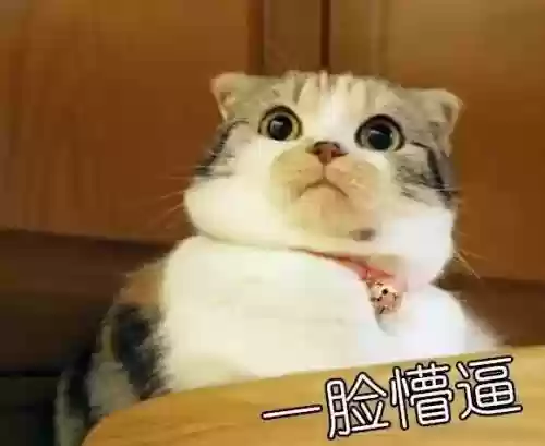 九阴真经第一土豪包子(九阴真经官网)插图1