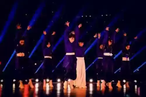 舞蹈神仙阵容(十大最有气质的舞蹈)插图8