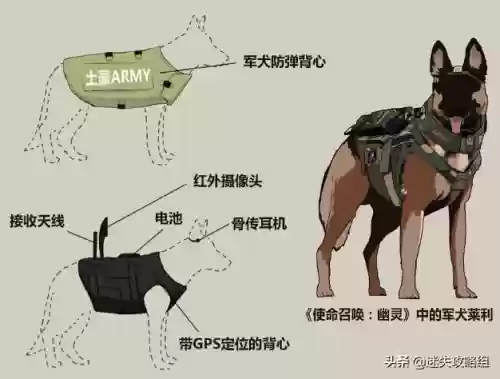 使命召唤10攻略图文解说(使命召唤11全流程攻略)插图3