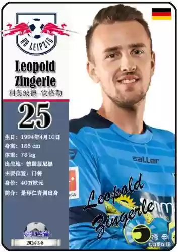 莱比锡历史阵容(历史足坛最佳阵容11人)插图14