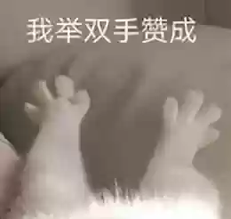 逆水寒副本最强组队阵容(逆水寒笼中雀触发不了)
